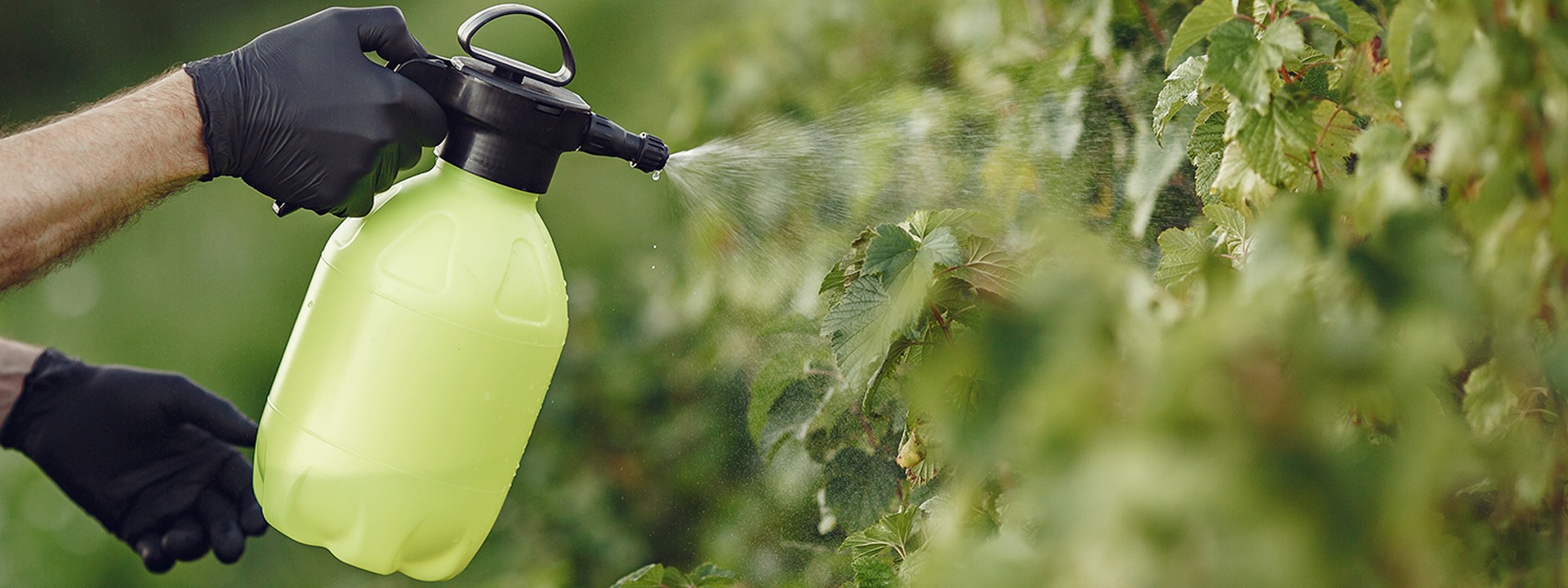 AGROCHEMICALS
